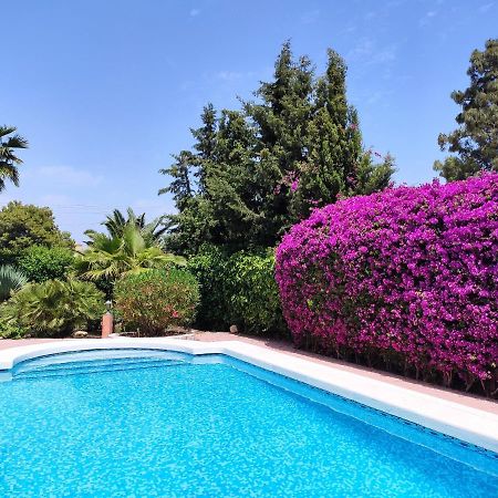 Villa With Private Pool, Bbq, Fitness Center & Sauna San Vicente Raspeig Dış mekan fotoğraf
