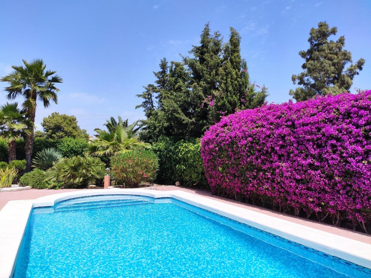 Villa With Private Pool, Bbq, Fitness Center & Sauna San Vicente Raspeig Dış mekan fotoğraf