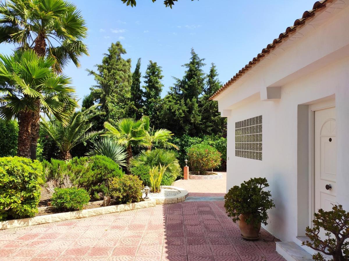 Villa With Private Pool, Bbq, Fitness Center & Sauna San Vicente Raspeig Dış mekan fotoğraf