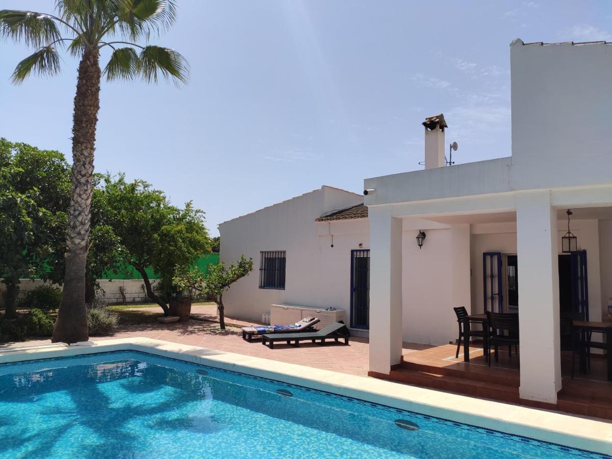 Villa With Private Pool, Bbq, Fitness Center & Sauna San Vicente Raspeig Dış mekan fotoğraf