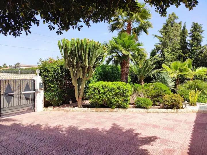 Villa With Private Pool, Bbq, Fitness Center & Sauna San Vicente Raspeig Dış mekan fotoğraf